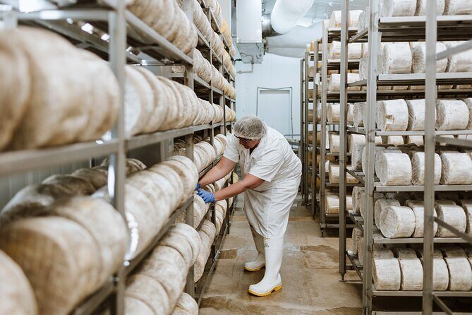 Guided Tour with Cheese & Wine Pairing - Important Practicalities