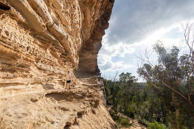 Guided Walking Tour in the Blue Mountains - Hidden Treasures - Pros and Cons