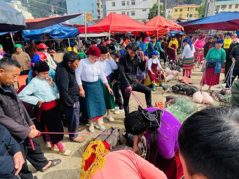 Ha Giang: Dong Van Market Fair Tour with Guide - Who Should Consider This Tour?