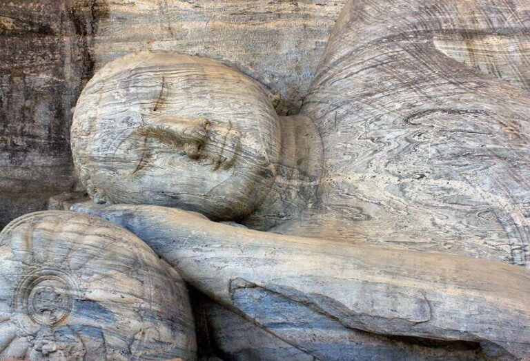 Habarana: Polonnaruwa, Sigiriya and dambulla day tour - What Makes This Tour Stand Out?
