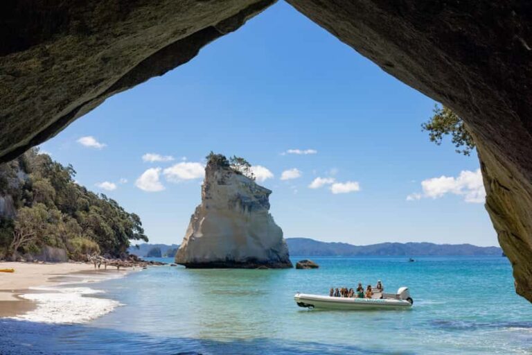 Hahei Explorer Cathedral Cove Boat Tour - What Makes It Special? Highlights for Travelers