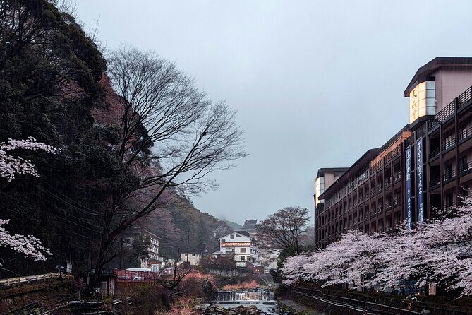 Hakone Full-Day Private Tour Hotel Pickup and Highlights - Authentic Experiences and Traveler Feedback