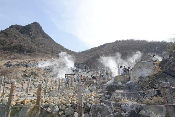 Hakone Full-Day Private Tour(Tokyo DEP.) with Government-Licensed Guide - Final Thoughts: Is This Tour for You?