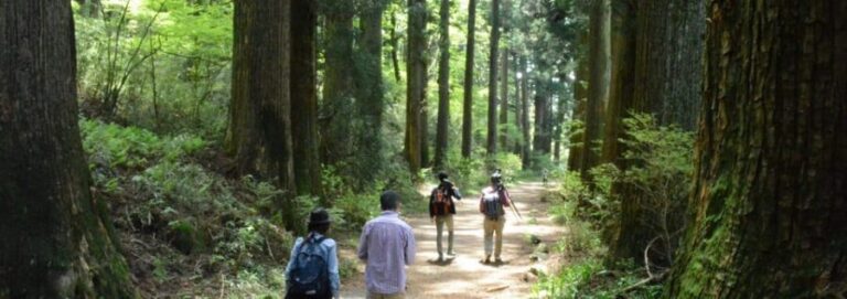 Hakone Geology & History Tour - Transport and Duration