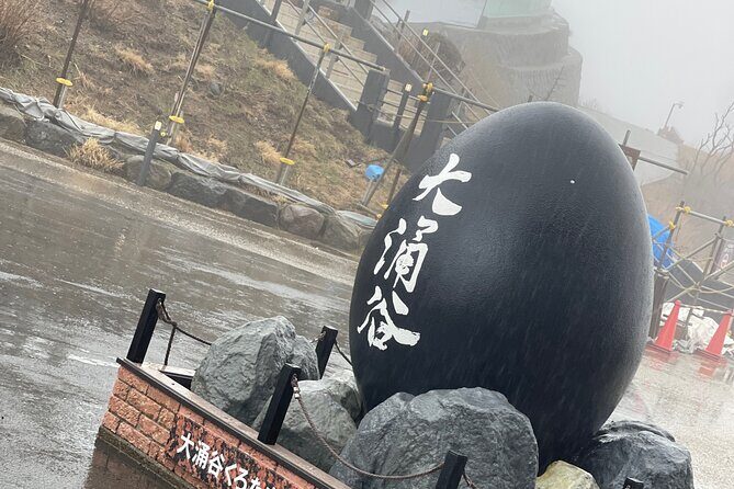 Hakone Private Car Sightseeing Tour - Who Should Consider This Tour?