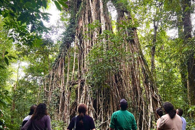 Half-Day Aboriginal Tour Atherton Tablelands - Who Will Enjoy This Tour?