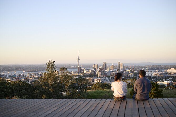 Half-Day Auckland City Sightseeing Small Group Tour - The Practicalities: What’s Included and What’s Not