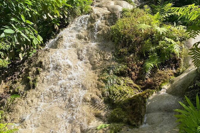 Half Day Chiang Mai Sticky Waterfall and Hotel Transfer - The Experience in Context