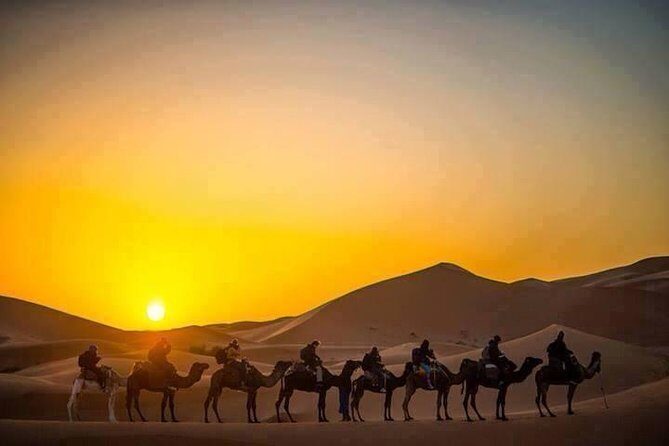 Half Day City Tour of Jaisalmer visit Sunset by Camel Ride with Dinner - Why This Tour Offers Value