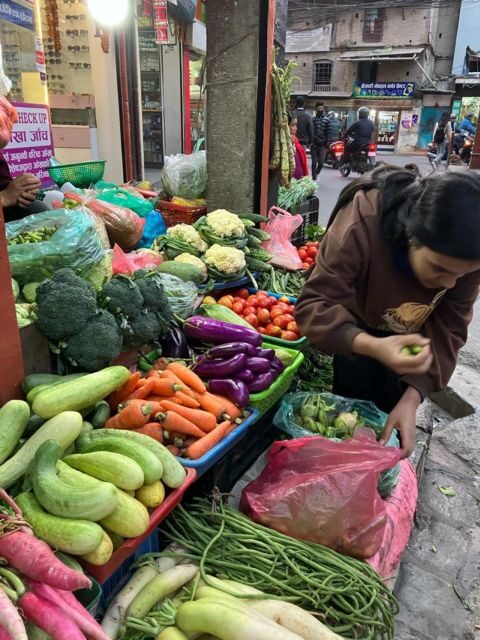 Half Day Cooking Class in Thamel with Local Market Visit - What to Expect from the Half-Day Cooking Class in Thamel