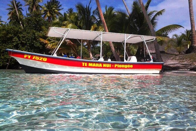 Half day excursion Tahaa - departure Raiatea / ideal cruise line - The Sum Up: Who Is This Tour Best For?