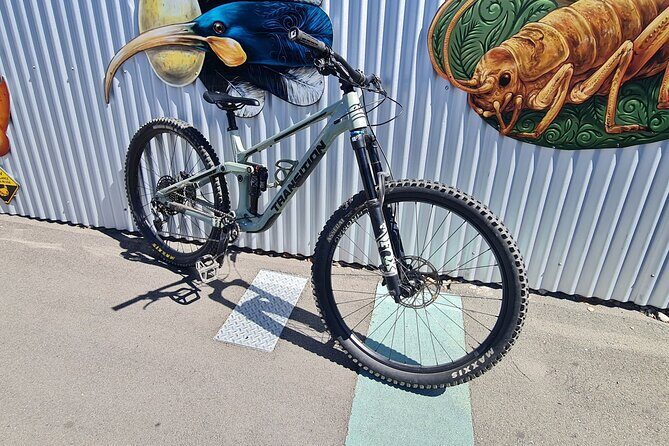 Half Day Full Suspension Acoustic Mountain Bike Rental - The Logistics: Price, Duration, and Convenience