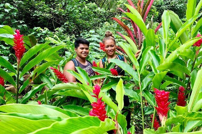 Half-Day Guided Hike to Afareaitu Waterfall - What Makes This Tour Stand Out