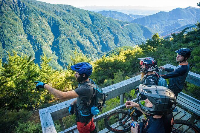 Half Day Guided Mountain Biking Adventure in Nelson - Trail Selection and Scenic Highlights