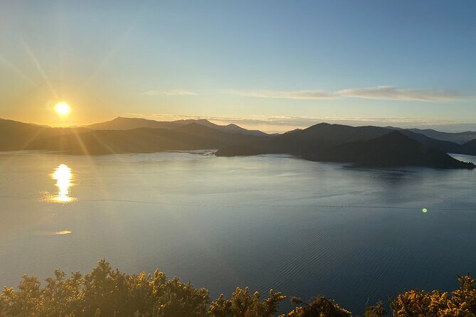 Half-Day Guided Sea Kayak Trip from Picton - Why Choose This Tour?
