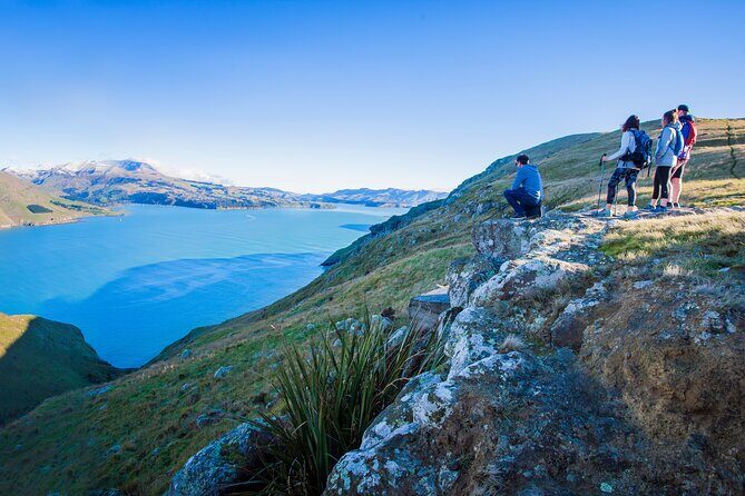 Half Day Guided Walking Tour on Banks Peninsula - Who Should Book This Tour?