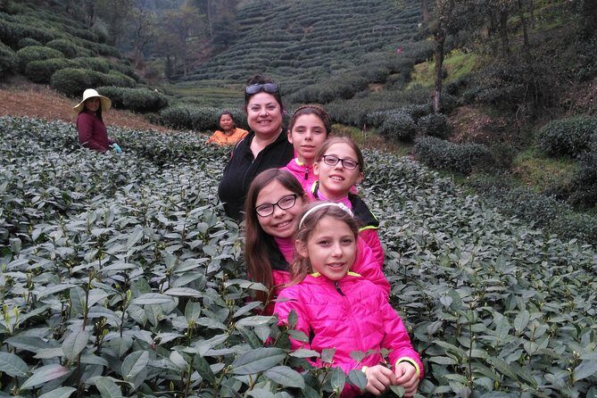 Half-Day Hangzhou Private Tour with Green Tea Village and Lingyin Temple - What Makes This Tour Stand Out?