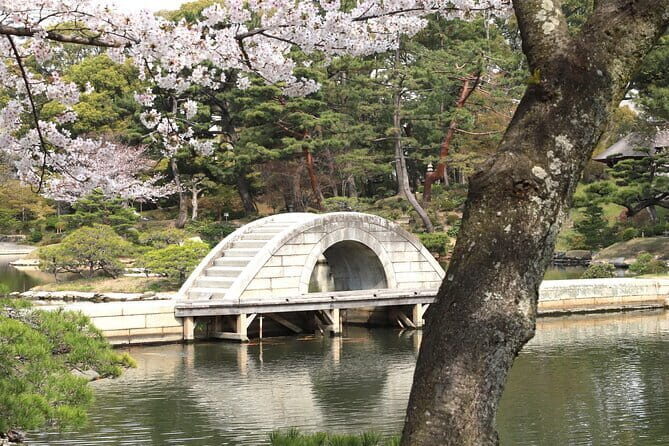 Half-Day Hiroshima Highlights Tour - Who Is This Tour Best For?