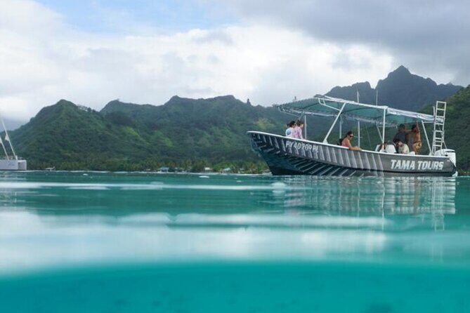 Half-Day Humpback Whales Encounter in Moorea - Why This Tour Works for Different Travelers