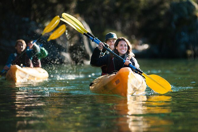 Half-Day Kayak Tour on Lake Wanaka - Accessibility and Suitability