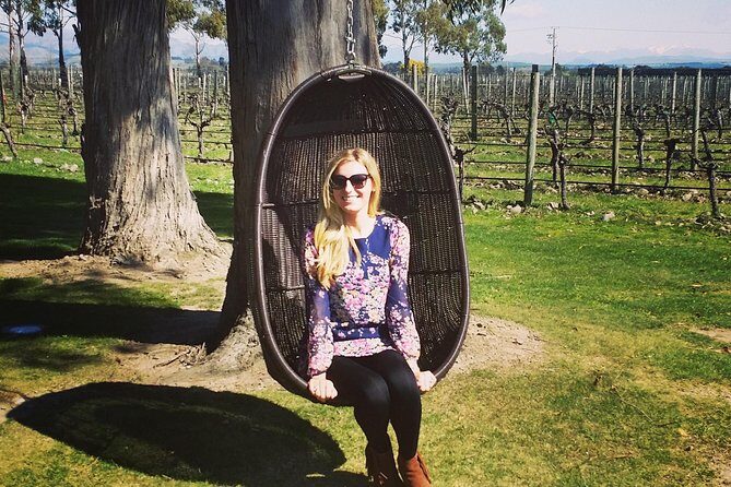 Half-Day Marlborough Wine Tour & Beer Tour - Value for Money