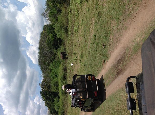 Half Day - Minneriya National Park Safari Tour From Habarana/Sigiriya - Final Thoughts: Is It Worth It?