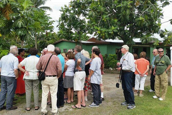 Half Day Mudpools, Veseisei Fijian Village, Gardens of Sleeping Giants &Shopping - Practical Tips for Making the Most of This Tour