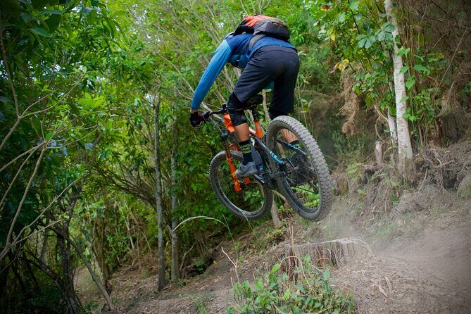 Half Day Nelson Electric Mountain Bike Rental Adventure - Why This Tour Is Worth Considering