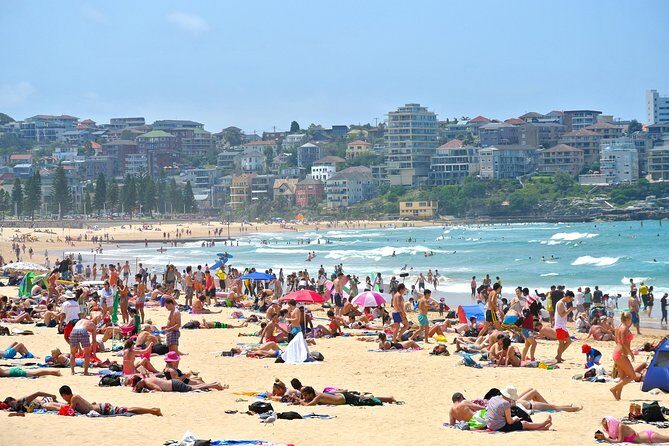 Half-Day or Full-Day Private Guide Hire From Sydney - Practical Details