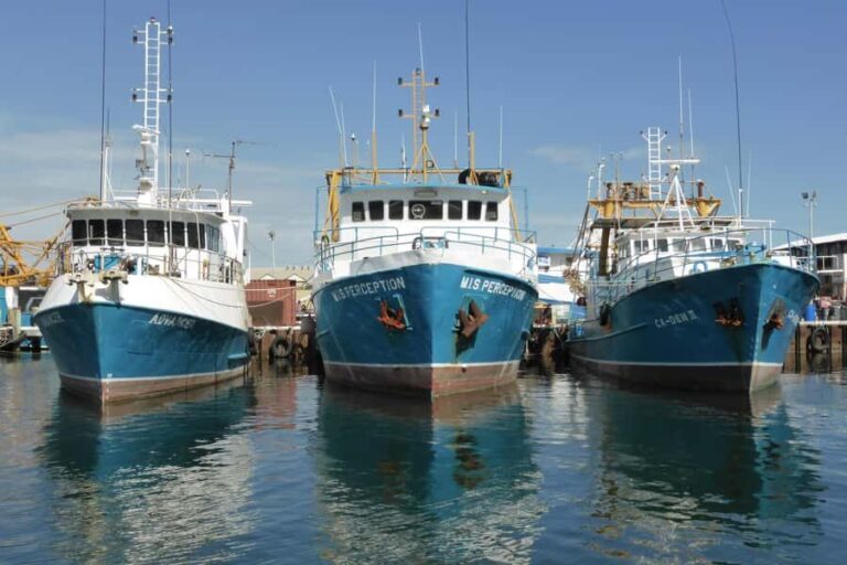 Half-Day Perth & Fremantle Private Tour - An Introduction to Perth and Its Surroundings