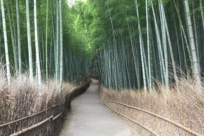 Half-Day Private Guided Tour to Arashiyama, Kyoto - Final Thoughts: Is This Tour for You?