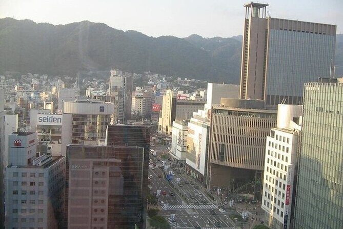 Half-Day Private Guided Tour to Kobe City - Who Will Love This Tour?