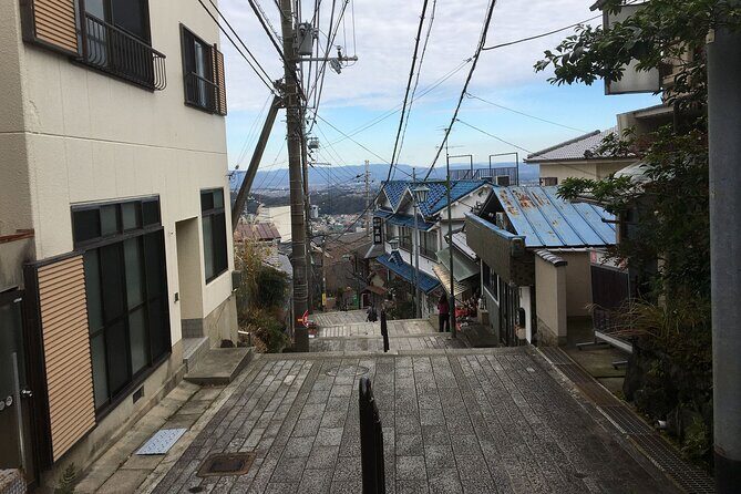Half-Day Private Guided Tour to Mount Ikoma - Who Will Love This Tour?