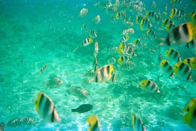 Half-Day Sailing Trip on the Lagoon of Tahiti Comments - The Experience and What It Means for You