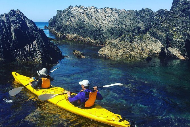 Half Day Sea Kayak Tour from Batemans Bay with Morning Tea - What’s Included and What to Consider