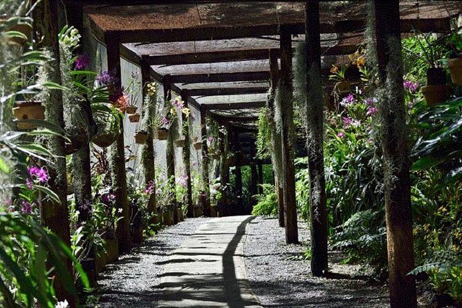 Half Day Sightseeing - Wonders of Nadi Tour - What You’ll Get From This Tour