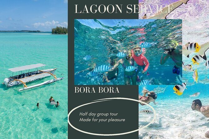 Half-Day Small-Group Cruise in Bora Bora with Snorkelling - Real Experiences and Authentic Encounters