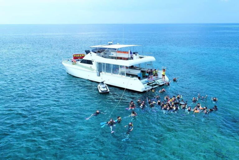 Half-Day Snorkeling Trip to Kerama - The Realities of the Experience