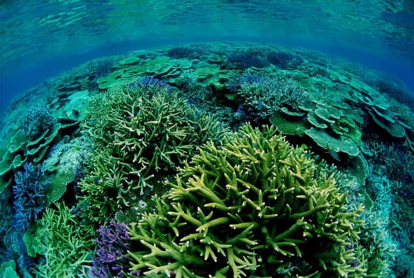 Half-Day Snorkeling Trip to Kerama & Marine Sports - Final Thoughts