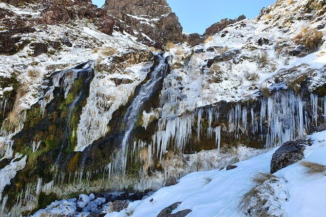 Half Day Tongariro Alpine Guided Group Walk - The Experience in Detail