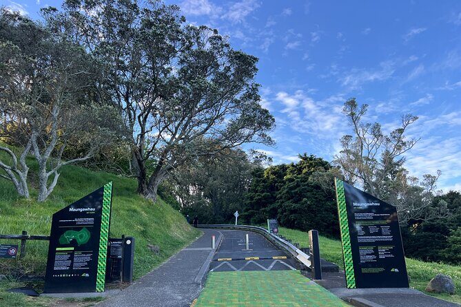 Half-Day Tour: AUCKLAND CITY Highlights with Hotel Pickup - Who Will Love This Tour?