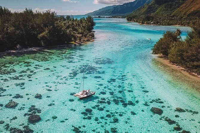 Half Day Tour : Moorea Snorkeling & Sailing on a Catamaran named Taboo - Why Travelers Love This Tour