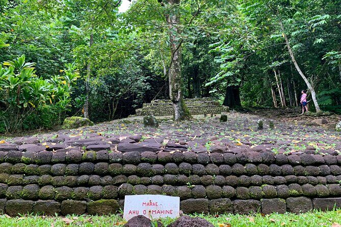 Half-Day Tour of Moorea Island in a Small Group - Exploring Moorea in a Small Group: What You Can Expect