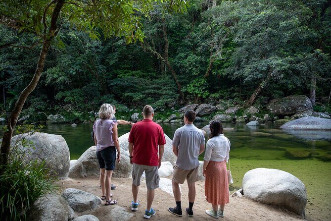Half Day Tour to Daintree Rainforest and Mossman Gorge - Who Should Consider This Tour?