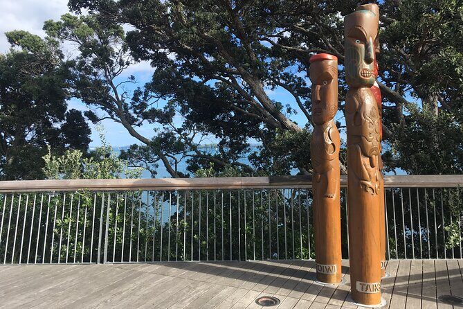 Half-Day Volcano Tour from Auckland - The Practical Details
