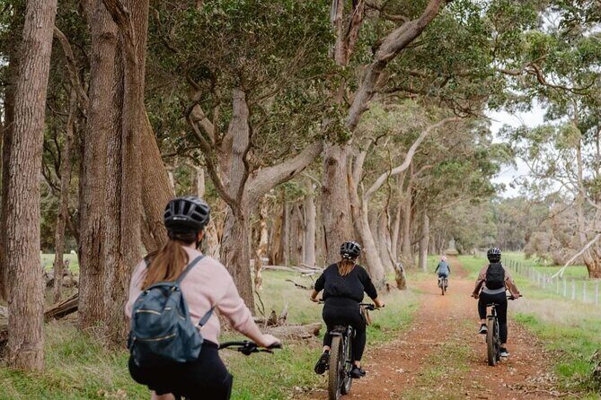 Half Day Wadandi Track Scenic E-Bike Tour - What to Expect and What Not to Expect