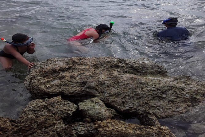 Half Island West side history/ snorkel tour - Who Will Love This Tour?