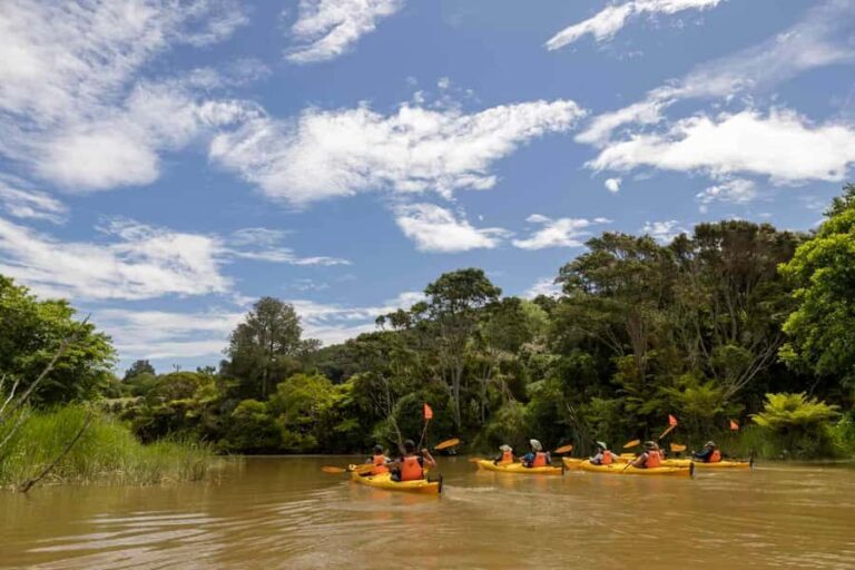 Hallertau Clevedon Kayak Tour - The Bottom Line: Who Should Book?