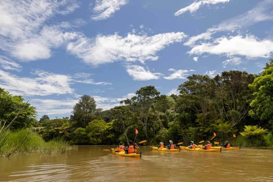 Hallertau Clevedon Kayak Tour - The Bottom Line: Who Should Book?
