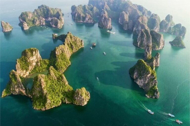 Halong Bay Day Tour 6 Hour Cruise, Kayak, Lunch, Small Group - A Deep Dive into the Experience